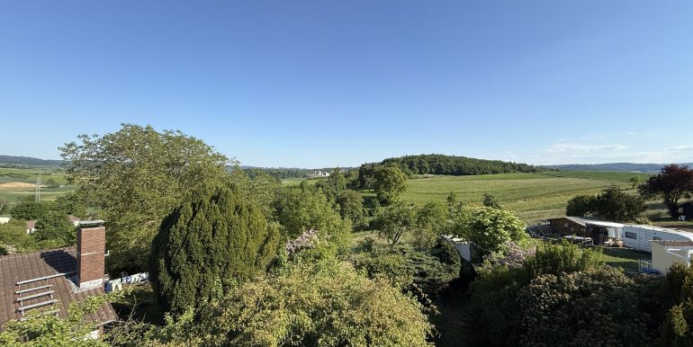 Fernblick