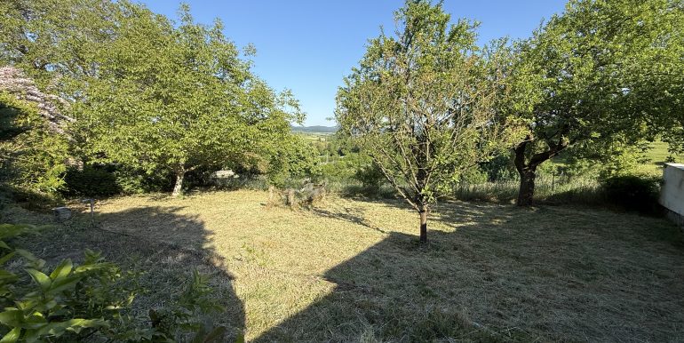 Obstbäume