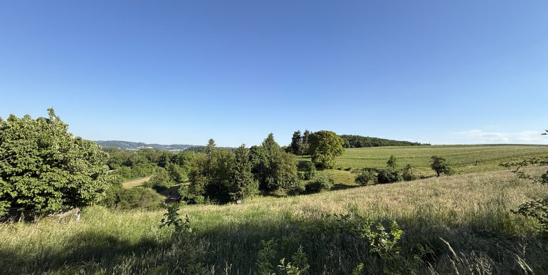Feld- und Waldblick