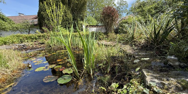 Gartenimpressionen