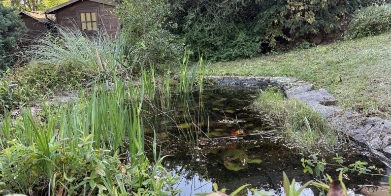 Gartenimpressionen